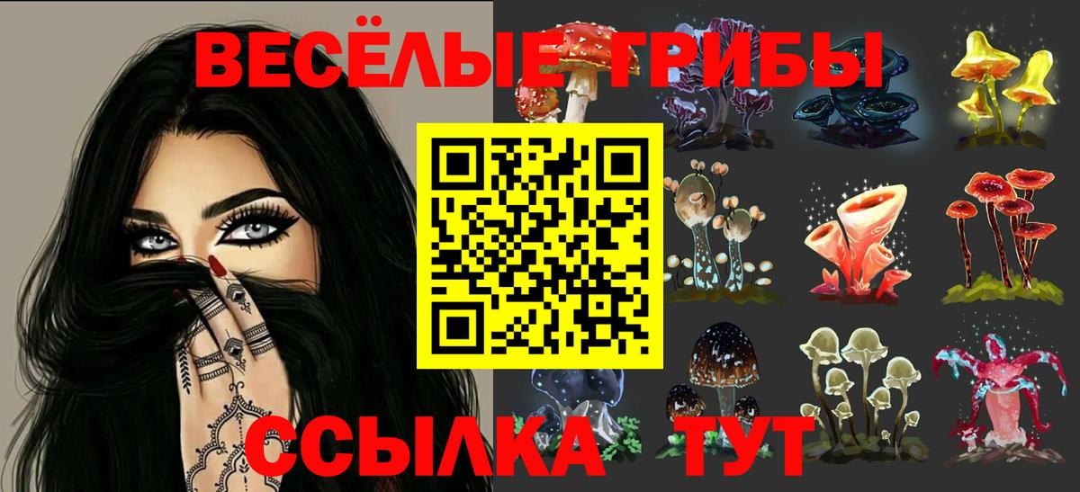 Псилоцибиновые грибы мухоморы Краснознаменск